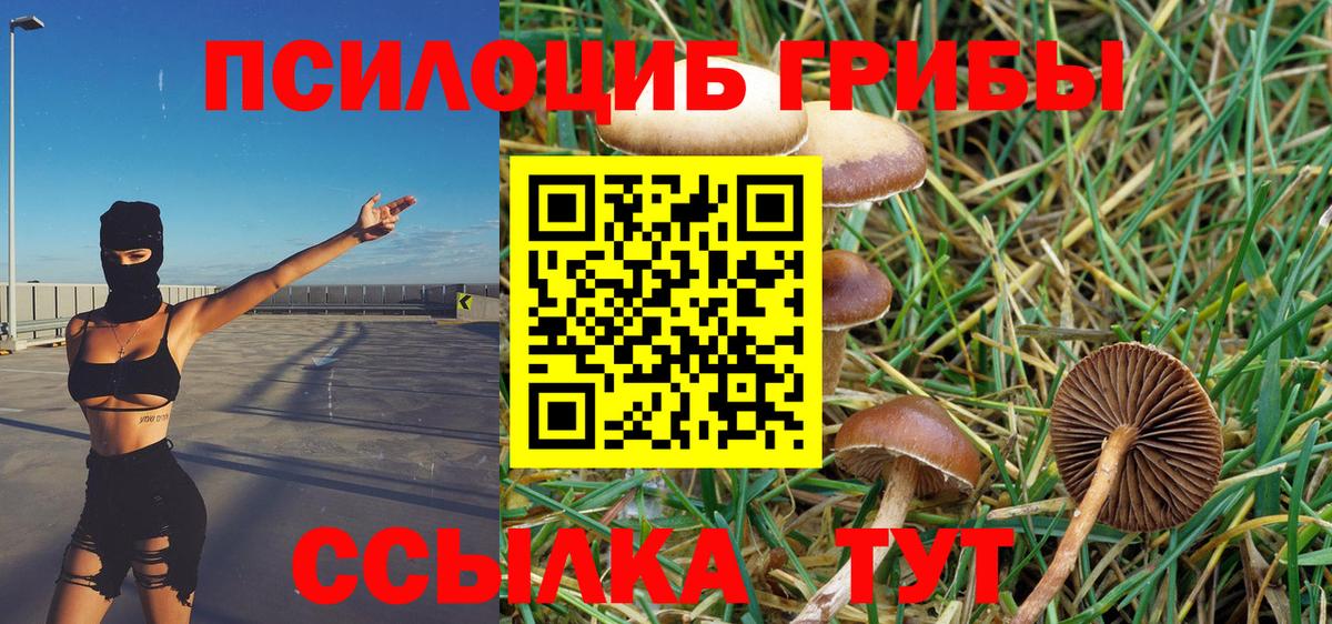 Псилоцибиновые грибы прущие грибы Избербаш