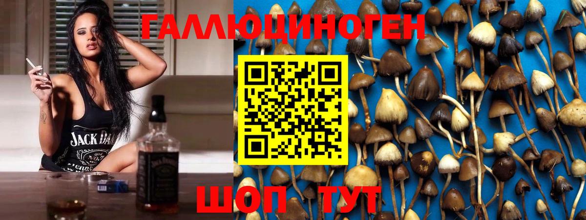 Галлюциногенные грибы MAGIC MUSHROOMS  Вход с VPN  Избербаш 
